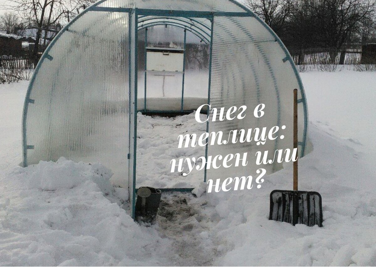 Нужно ли кидать снег в теплицу. Зачем кидать снег в теплицу зимой. Нужно ли кидать снег в теплицу весной. Нужно ли кидать снег в теплицу весной из поликарбоната. Подготовить теплицу к весне.