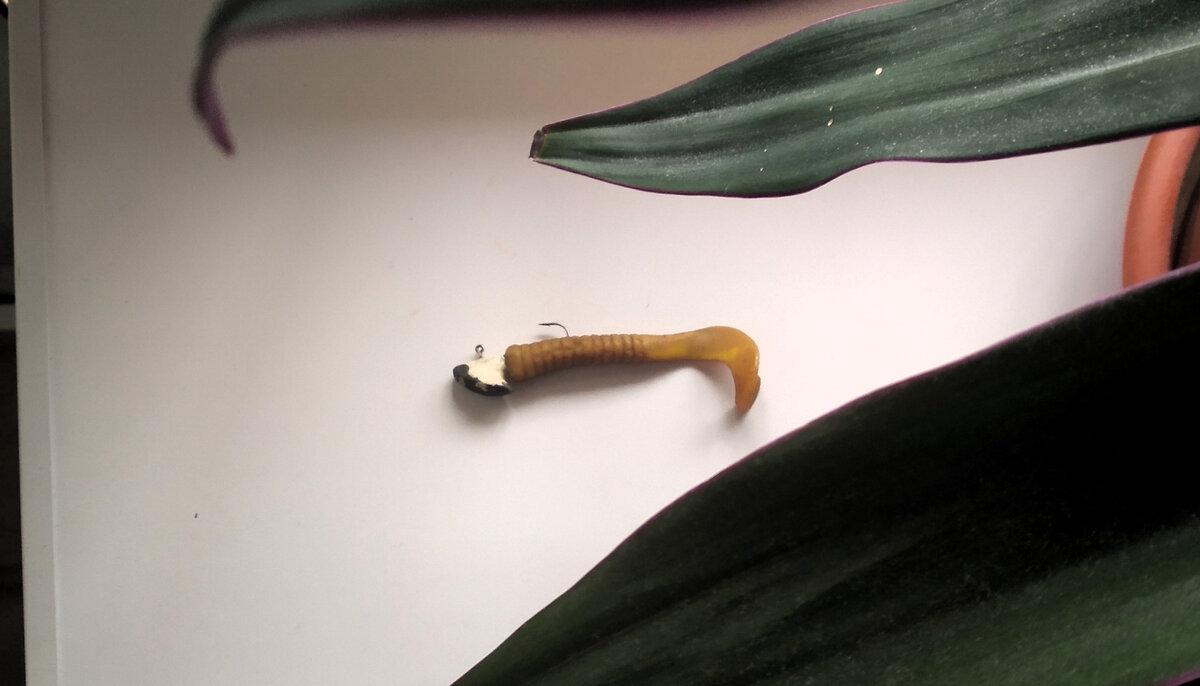 Тот самый первый джиг