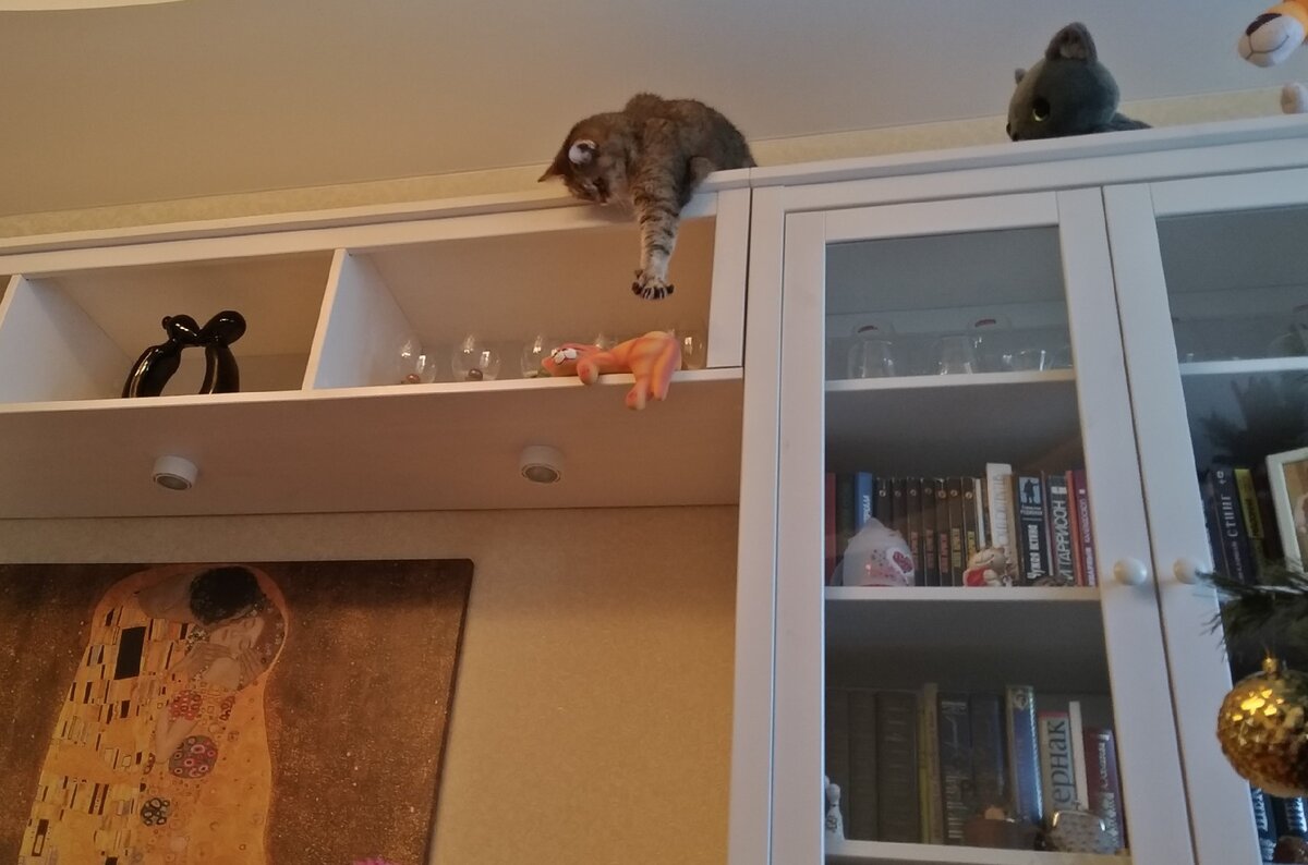 А почему бы и не стянуть то, что понравилось?