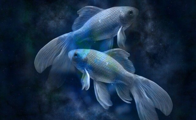 Изображение взято из открытого источника