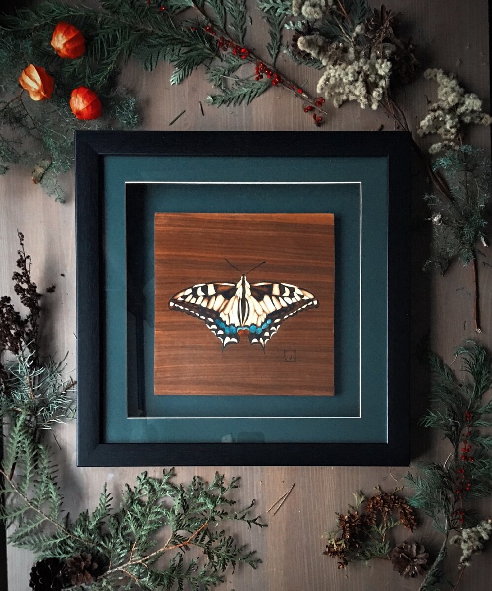 Моя авторская работа. Бабочка в технике маркетри.