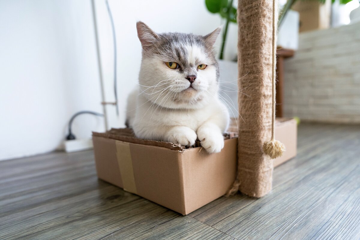 И будет не с «ором» требовать, а с уважением просить.