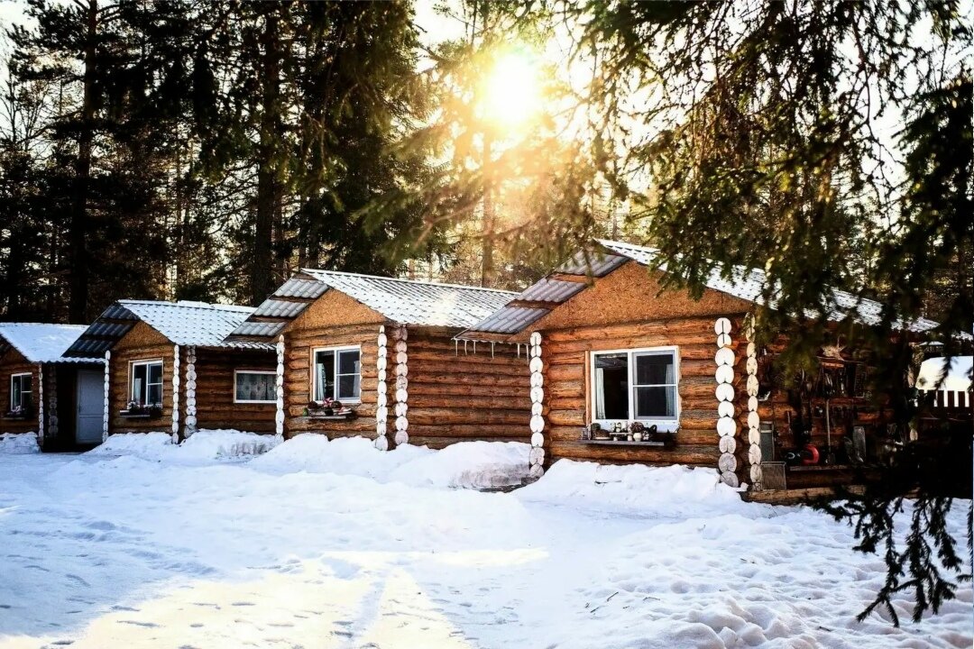 Источник Яндекс Картинки 