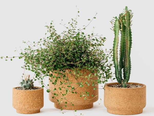 Источник: https://www.etsy.com/listing/222207693/sovremennye-probkovye-plantatory?ref=user_profile