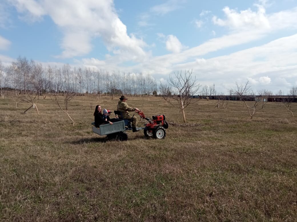 Прокатились в тележке.
