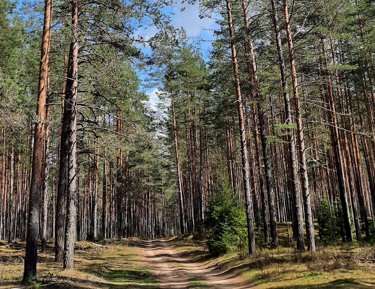 Наша прекрасная природа