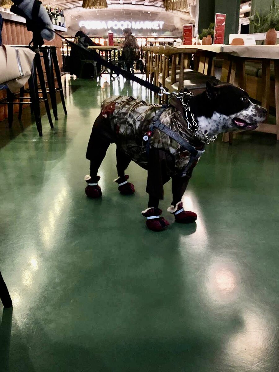 Фото из личного фотоархива