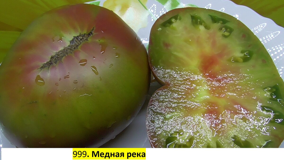 -131