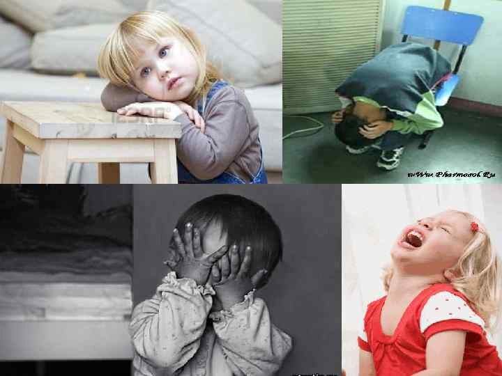 Фото из свободных источников Яндекс