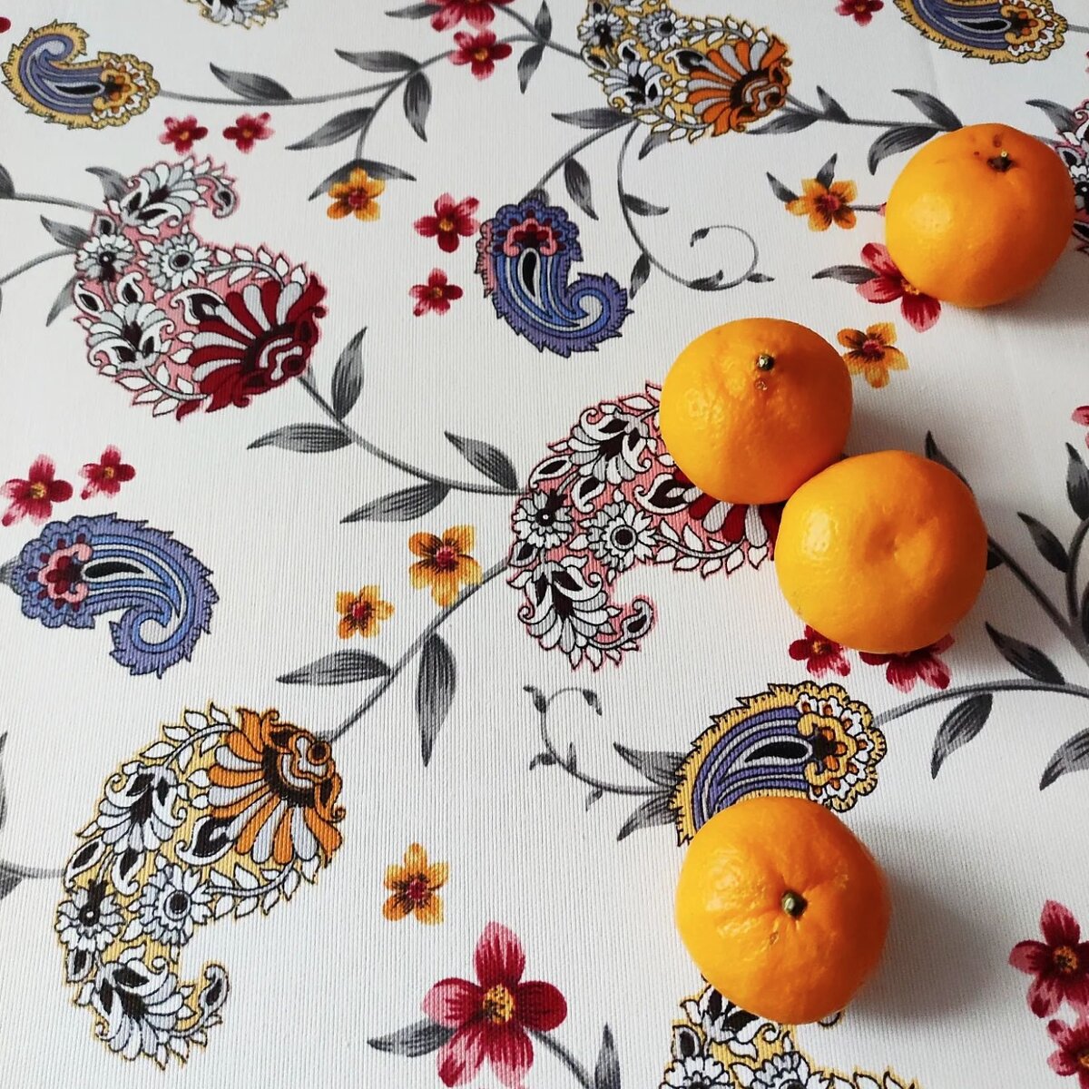 Фото: instagram.com/p/CY91tM-II4Z/