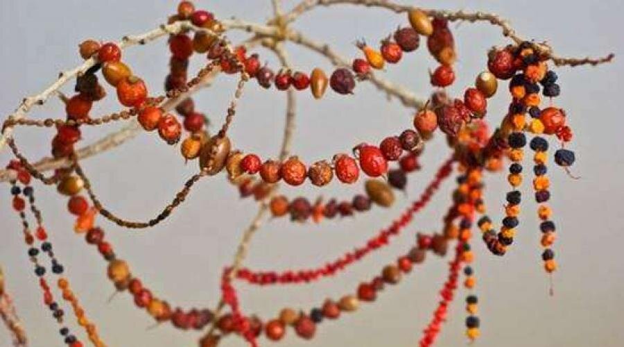 Текст авторский из старых. Фото из открытого источника. 