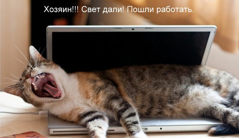 Из открытых источников: Яндекс. Картинки