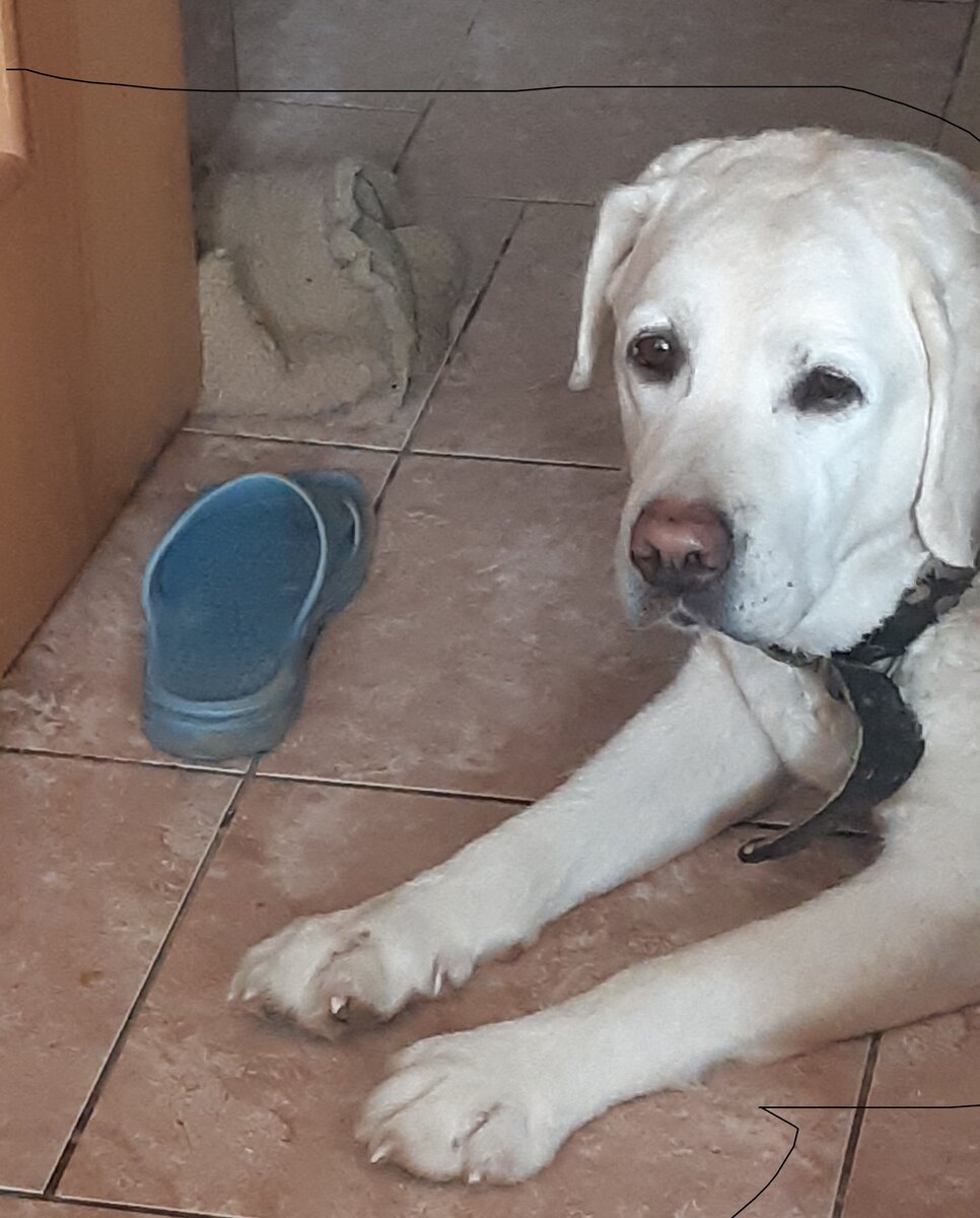 И тапок, и коврик принесла :)