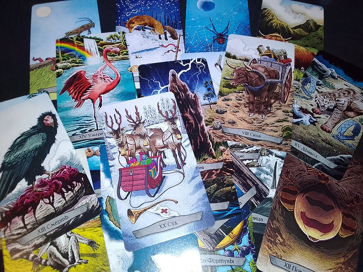 Старшие Арканы из Таро Животные тотемы