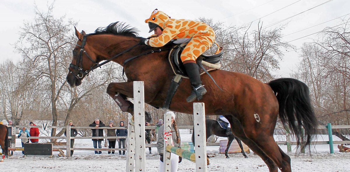 Фото: группа Красноярского ипподрома в соцсети «ВКонтакте»