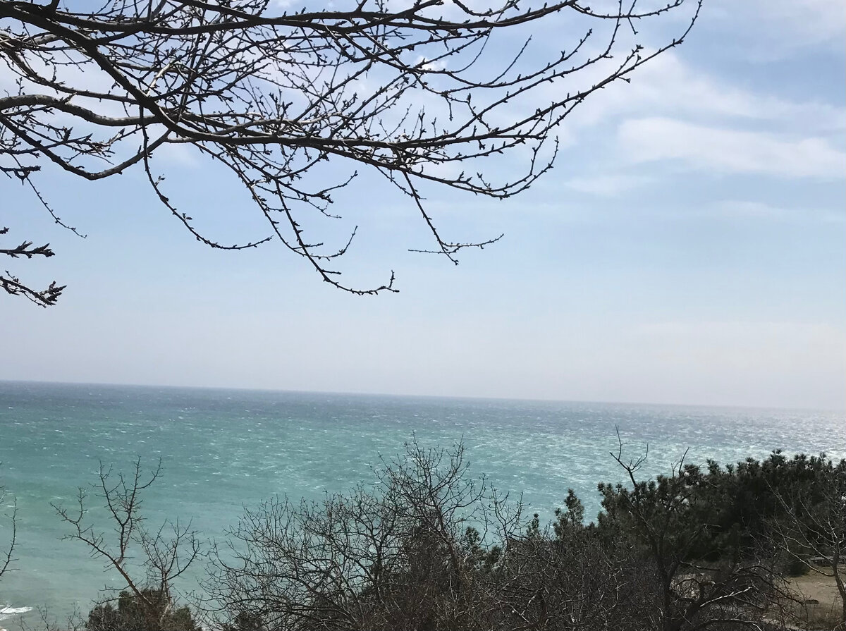 Разноцветье моря