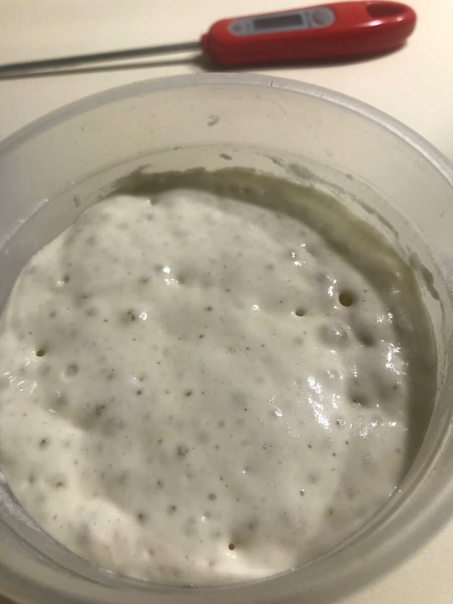 Вот так пулиш выглядит в конце брожения 