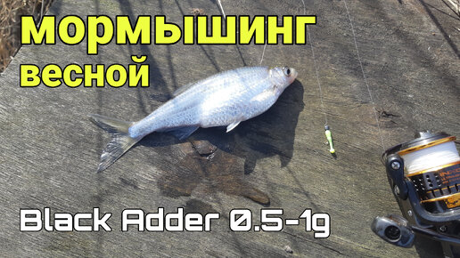 МОРМЫШИНГ ВЕСНОЙ с BlackAdder 0.5-1g