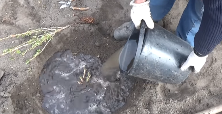 Не допускайте ошибок при посадке