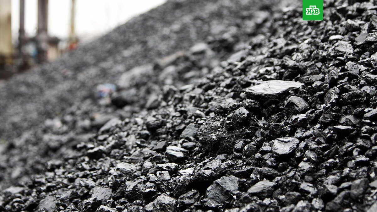    Фото: РИА Новости © 2022, Сергей Аверин