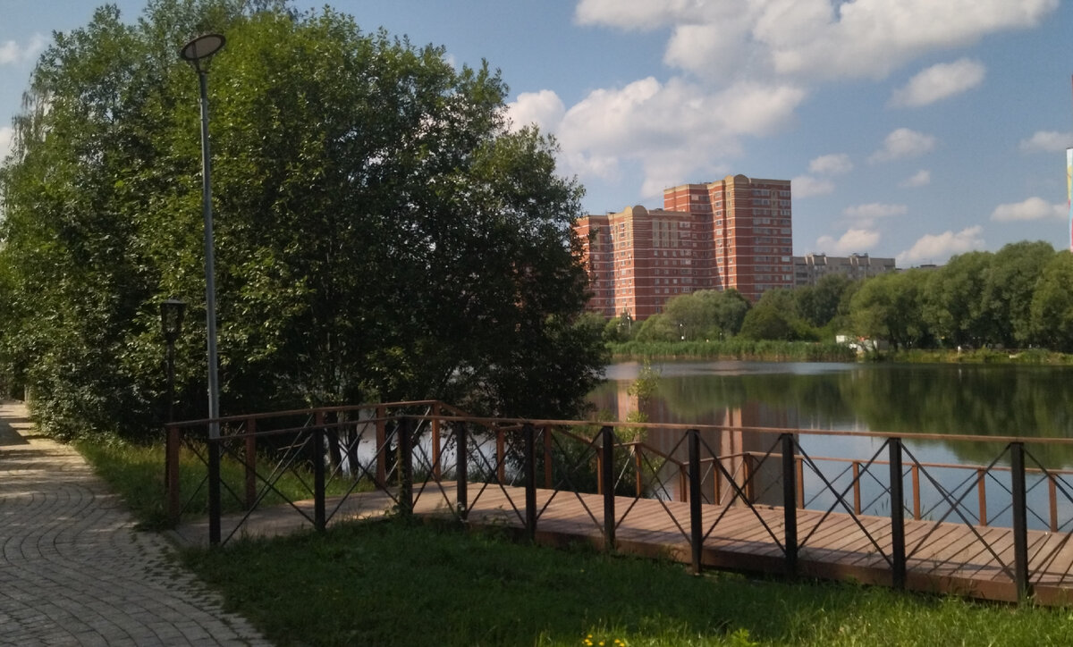 Июль. Жара. Подмосковье. Прогулка моя. Фото моë.