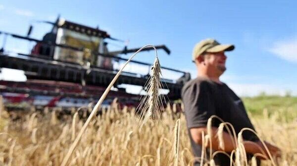   © Sputnik / Мария Амелина