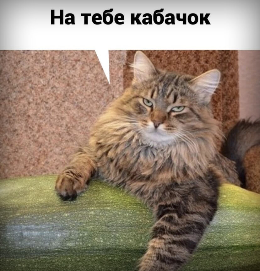 Фото с просторов интернета