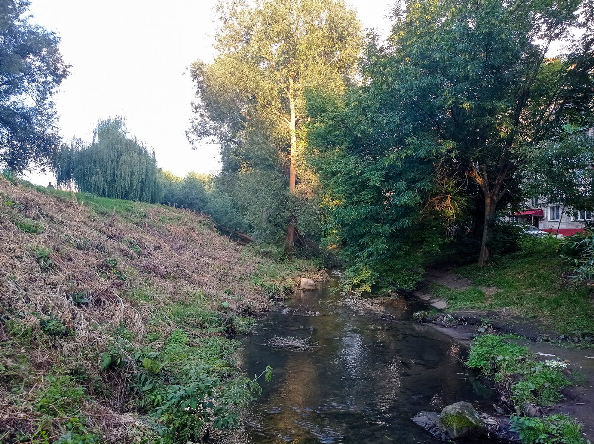 Река Студенец с пешеходного мостика  |галерея →|