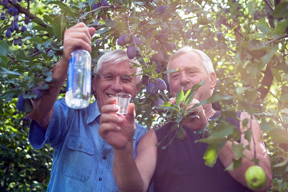     Ну! За урожай!  Shutterstock