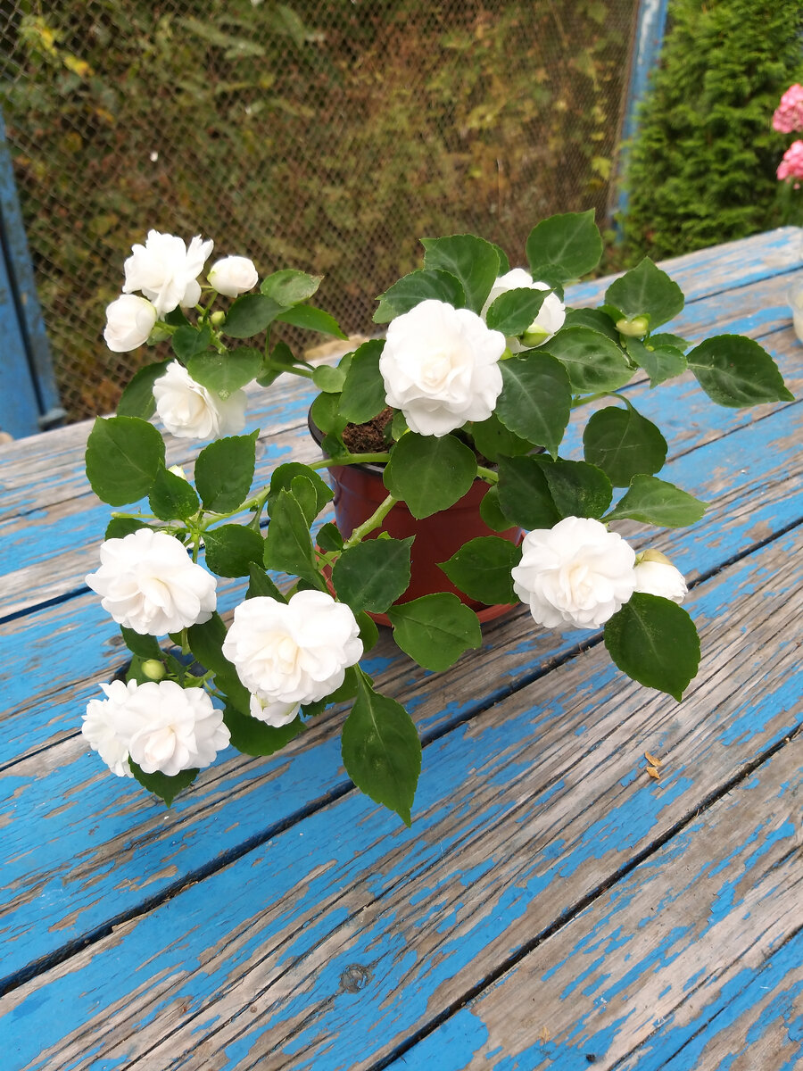 Фото 28 августа