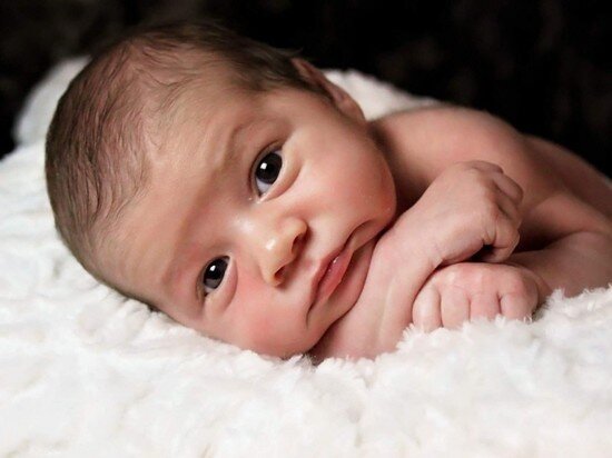     Фото: pxhere.com