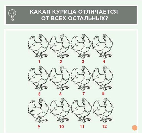 1-? 2-? 3-? 4-? 5-? 6-? 7-? 8-? 9-? 10-? 11-? 12-?