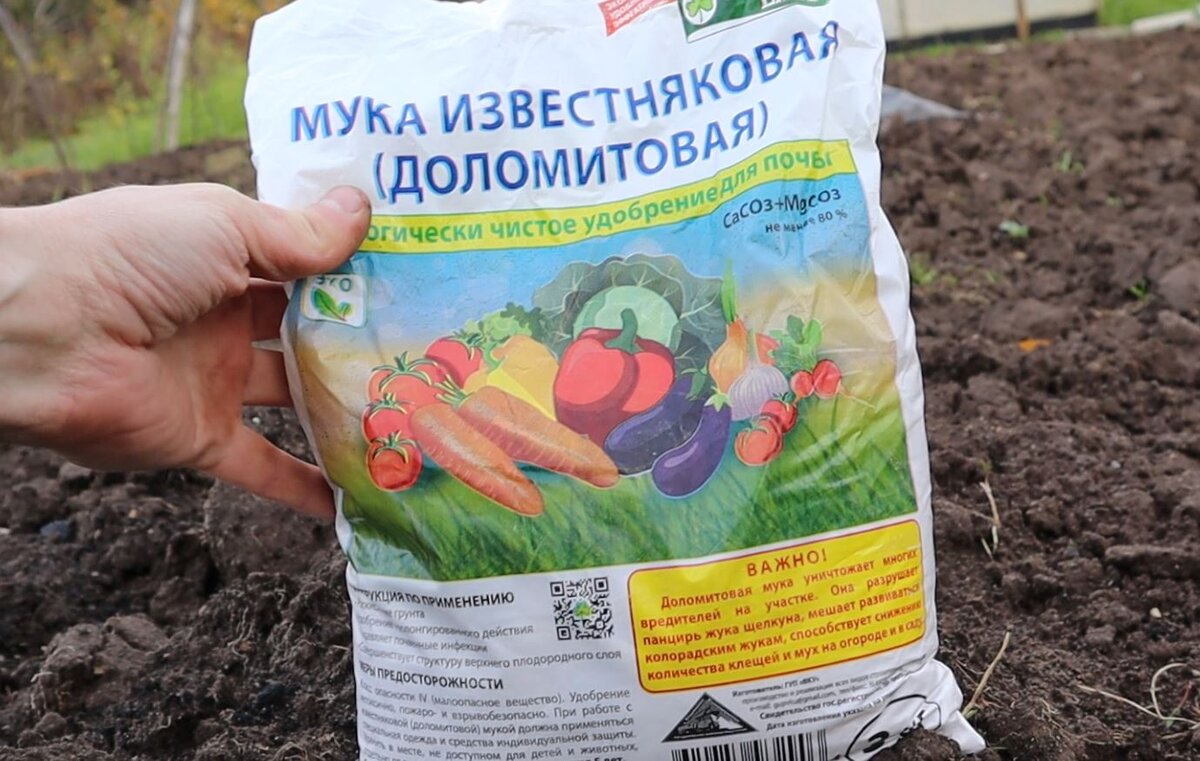 Как применять доломитовую муку. Доломитовая мука для огорода. Доломитовая мука для гортензии. Доломитовая мука когда применять. Доломитовая мука 25кг плюсы