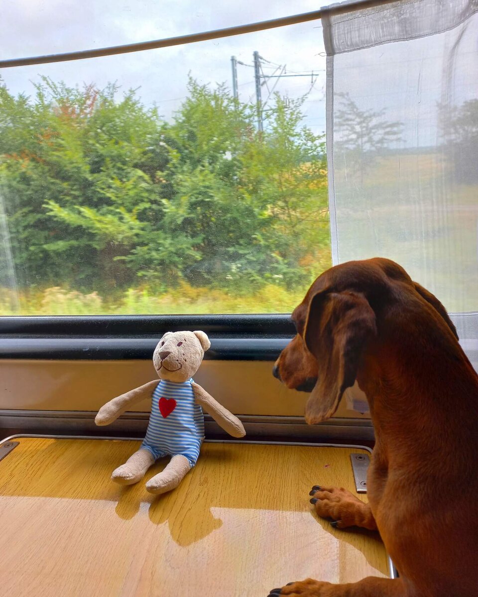 Едем к морю ! Июль 2021