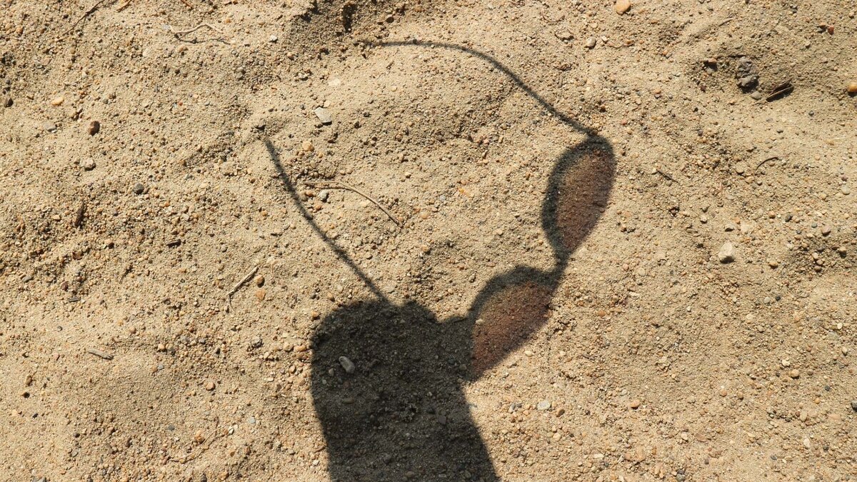     В первый день Восточного экономического форума в Приморском крае ожидается жаркая погода. Синоптики не прогнозируют сильных дождей.