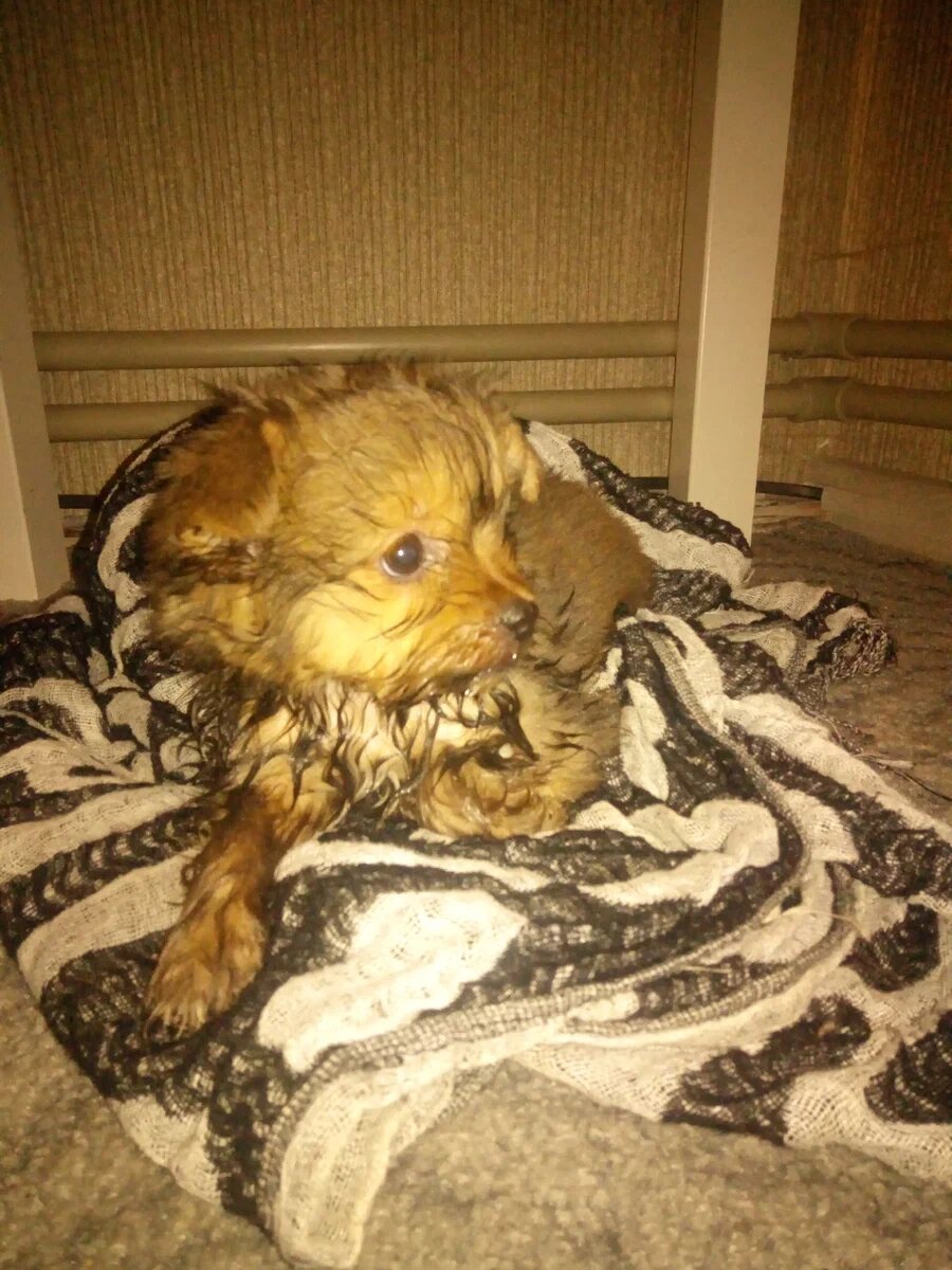 Первые минуты дома...