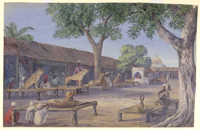 Марианна Норт. Улица охотничьих гепардов и рысей (каракалов) (Алвар). Бумага, масло. 1878 г.