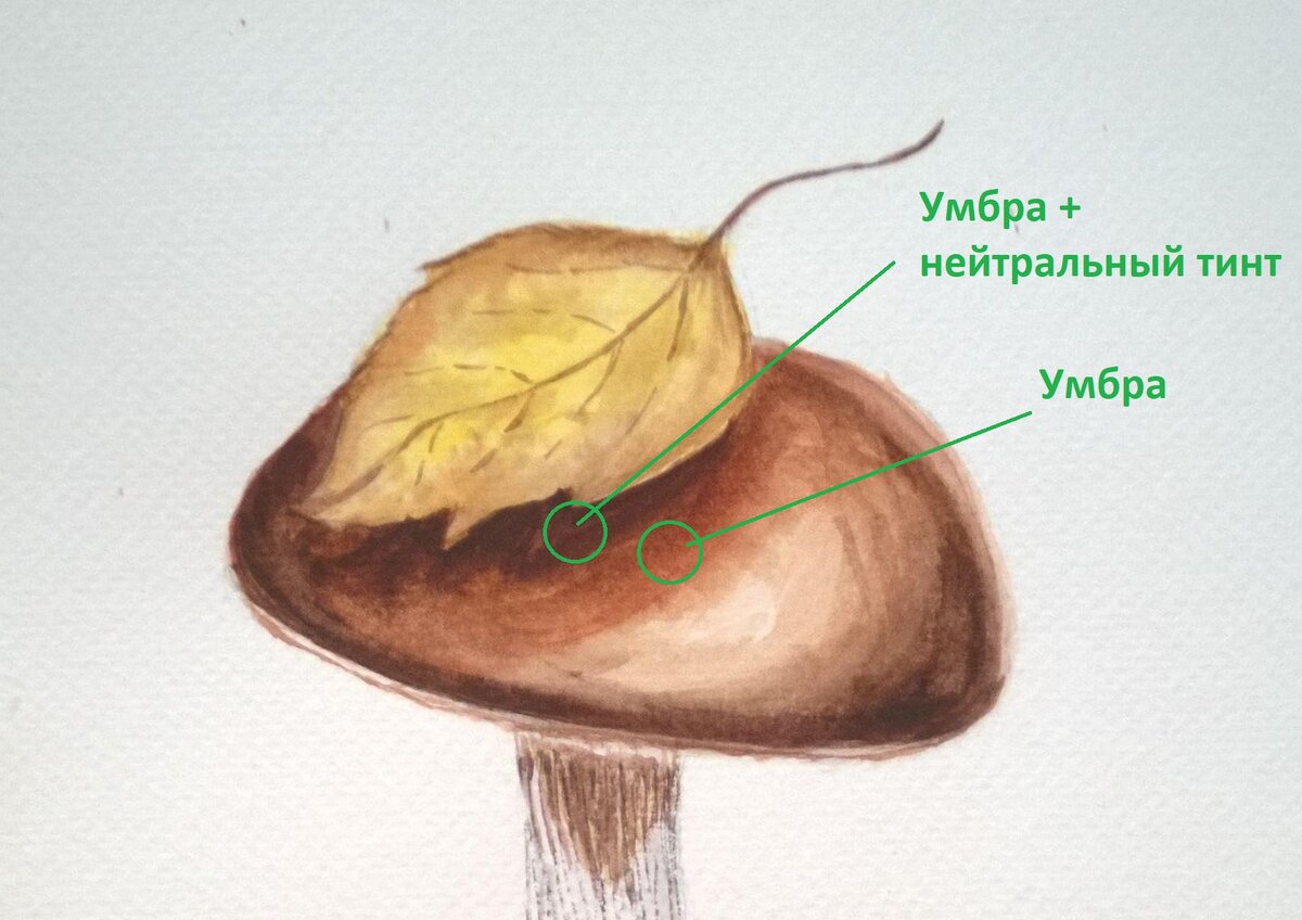 Нейтральный тинт в смесях
