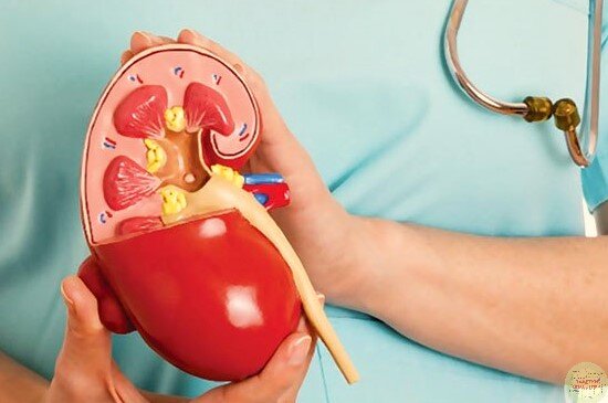 Фото взято с сервиса Яндекс.Картинки