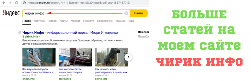 После прочтения публикации - не забудьте: - нажать "палец вверх"; - подписаться на канал, ведь каждый подписчик очень важен для нас. - оставить комментарий.-2