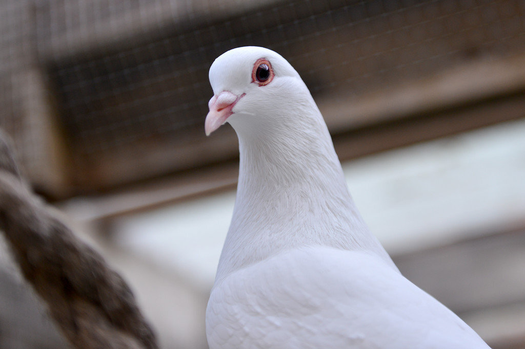 Источник фото: globalgiving.org