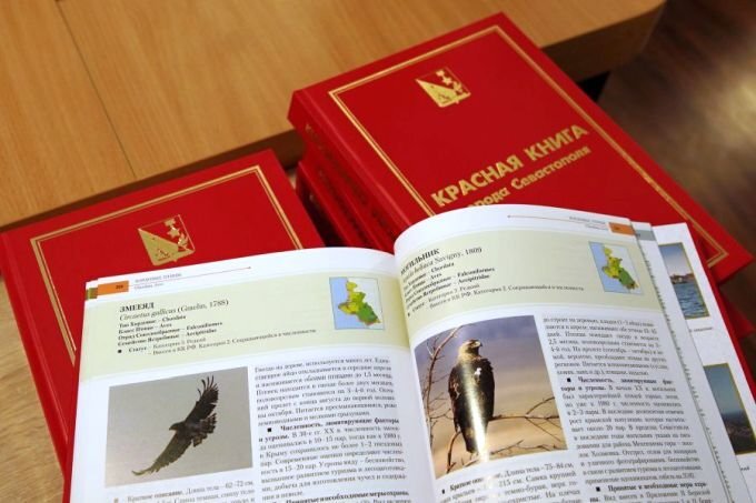 Красная книга Севастополя. Фото: ikstv.ru.