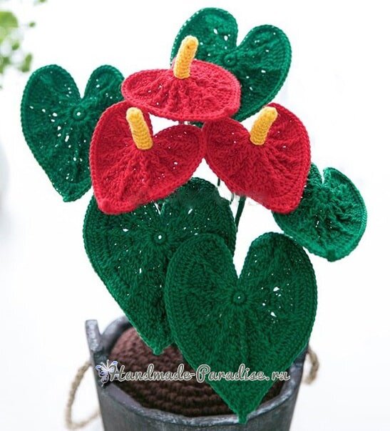 Цветы крючком — Антуриум. Схемы вязания