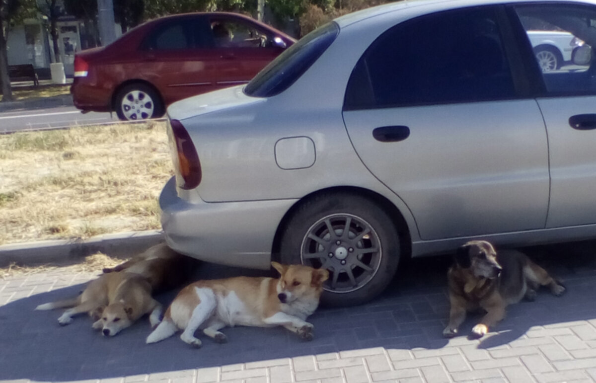 Должно быть, в раю классно жить и работать? Без надрыва, не торопясь, в своё удовольствие...