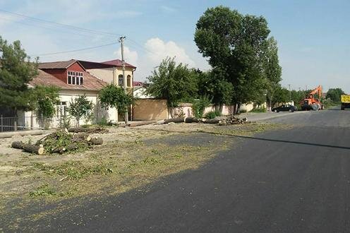  Вырубка на проспекте Фаргона Йули. Фото из Facebook-группы "Потребитель.Уз"