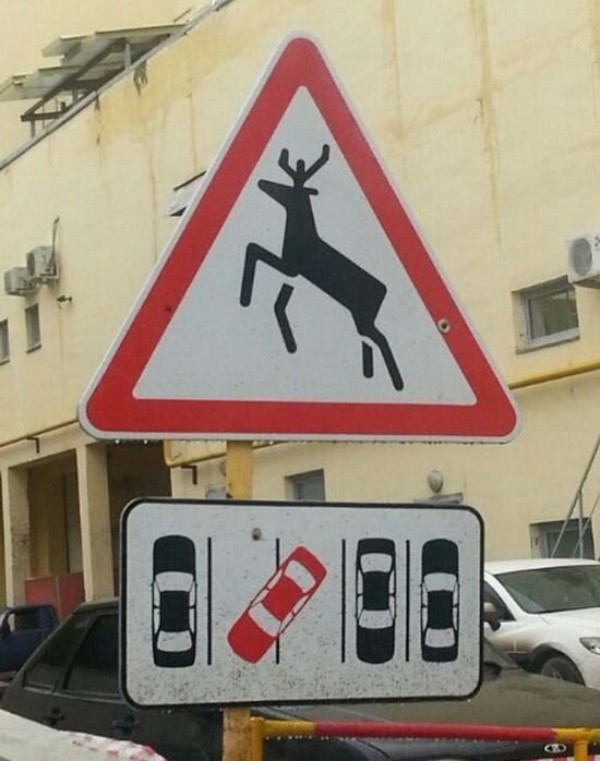 Источник фото, Яндекс Картинки