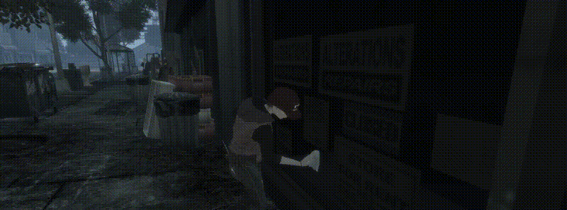 NPC моют окна