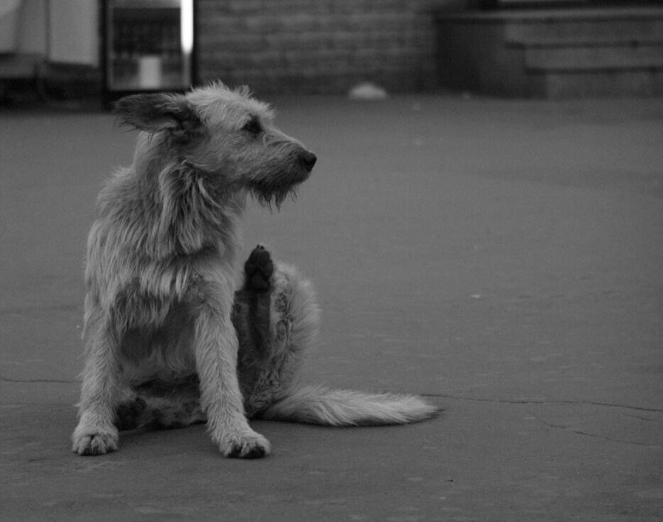 фото  с сайта - Photosight.ru.