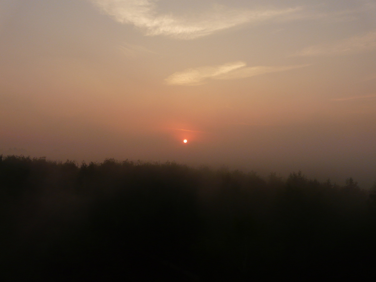 Туманное утро. фото автора