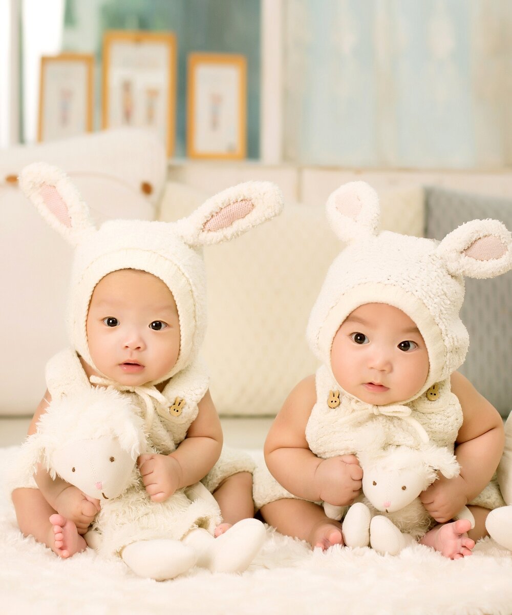 https://pixabay.com/photos/baby-twins-brother-sister-siblings-772439/